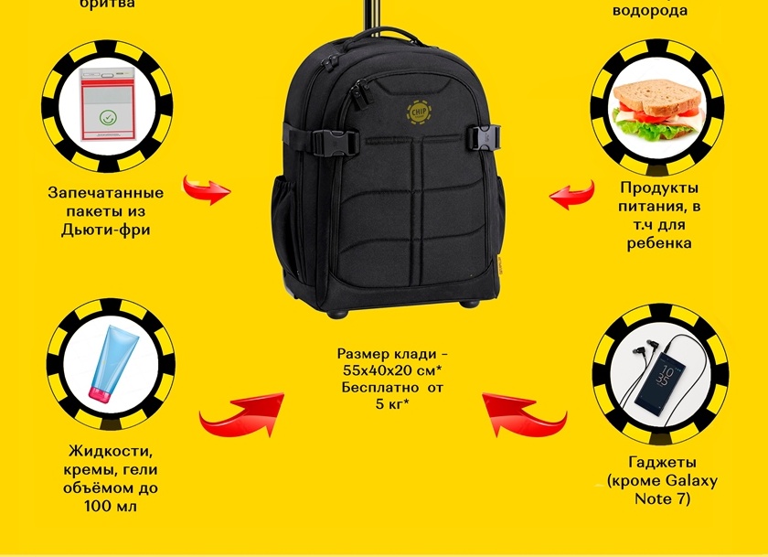 Что может быть ручной кладью? Что может быть ручной кладью?