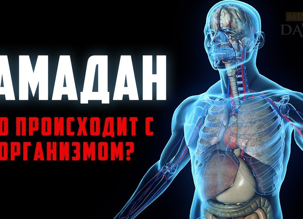 Что происходит в организме человека во время влюбленности?